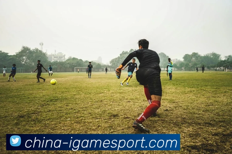 爱游戏平台生态图